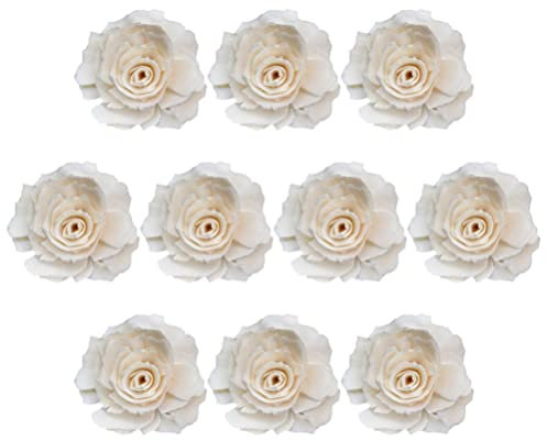 COHEALI 10st Aromatherapie-diffusor Diffusor Für Getrocknete Blumen Aromazerstäuber Blumendiffusor Haushalt Aroma Blumen Feuerlose Aromadiffusoren Schilfrose Hochzeit Dekorationen