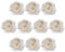 COHEALI 10st Aromatherapie-diffusor Diffusor Für Getrocknete Blumen Aromazerstäuber Blumendiffusor Haushalt Aroma Blumen Feuerlose Aromadiffusoren Schilfrose Hochzeit Dekorationen