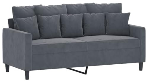 vidaXL Sofa 2-Sitzer, Loungesofa Couch mit Armlehnen Rückenkissen, Wohnzimmersofa Designsofa Metallgestell, Sitzmöbel Zweisitzer, Dunkelgrau Samt