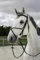 Riding World Trensenzaum mexikanisches Reithalfter Pony Schwarz