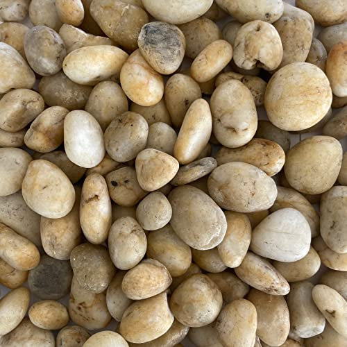 Eurosand FLUSSKIESEL, 1 kg. Kieselsteine gerundet, 20-60mm Flußkiesel 1000 g. Bernstein