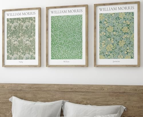 William Morris Set of 3 Unframed Prints, Art Nouveau Home Decor, Vintage Art, Botanical Flower Poster, Digital Art, Tulip Willow Jasmine (A4)