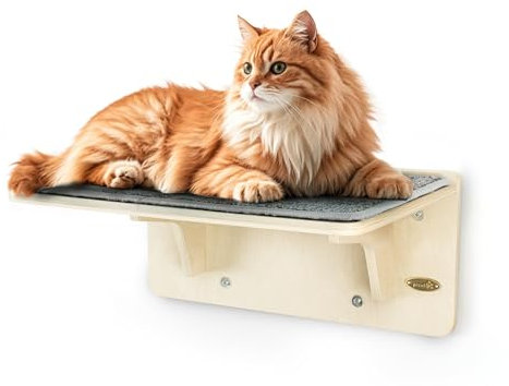 pecute Kletterwand Katzen, 2-in-1 für Wand & Glas, Katzenkletterwand mit Waschbar Abnehmbar Filzunterlage, Katzenliege Fenster Fensterplätze mit Große Saugnäpfe für Katzen, Großkatzen (M)