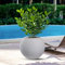DIVINA GARDEN Vaso in Resina da Esterno Interno per Piante Tondo a Sfera di Design d.40x33h Botticelli Beige
