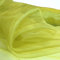 TOLKO 1m Organza Stoffe zum Nähen Meterware | Hauch Zart, Fein, Durchsichtig | zum Dekorieren Basteln 145cm breit | leichter Glanz Stoff für Gardine Vorhänge Tischdecken Deko Schals (Hellgrün)
