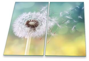 Herdabdeckplatte Abdeckung Ceranfeld Abdeckplatte Schneidebrett 2-Teilig 60x52 Pusteblume Weiss Mehrfarbig Spritzschutz Glasplatte Ceranfeldabdeckung Sicherheitsglas Glasschneidebrett 2x30x52