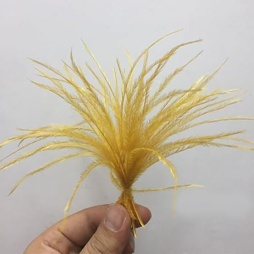 PEKNUX Straußenfederseide DIY Schmuck Pfauenhaarseide 50 Stück/Bündel Gold 8-13Cm