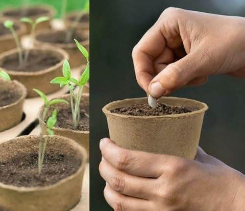 Garden Mile 18 Piece Round Biodegradable Organic Fibre Seedling Pots for Plant Cultivation Compostable Containers Ideal for Garden & Greenhouse Growing Vegetables, Fruit, Herb, Flower