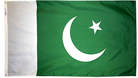 Annin Flagmakers 196517 Internationale Flagge, 90 x 150 cm, Nicht zutreffend
