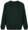 Trutex Unisex 260g Crew Neck Sweatshirt, Bottle, 9-10 Years UK