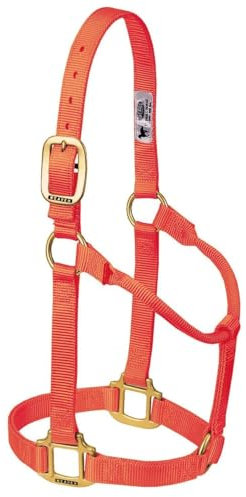 Weaver Leather Original Pferdehalfter, Nicht verstellbar, Nylon, mittelgroß, Orange