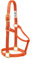 Weaver Leather Original Pferdehalfter, Nicht verstellbar, Nylon, mittelgroß, Orange