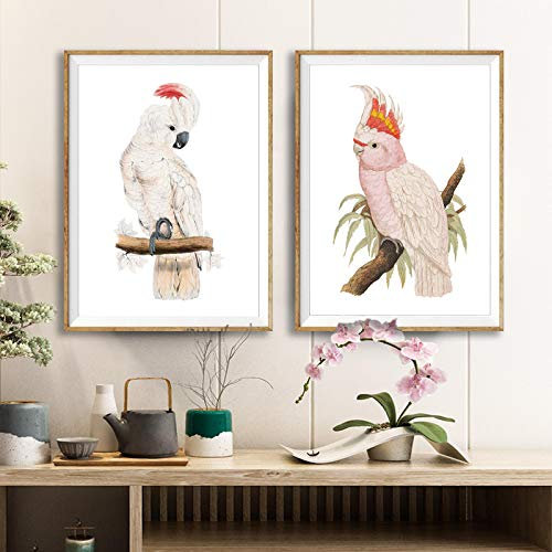 XIANGPEIFBH Vintage Bird Prints Rosa Kakadu Poster Aquarell Kakadu Malerei Leinwand Bilder Wohnzimmer Wandkunst Dekor 30x40cmx2pcs Ungerahmt