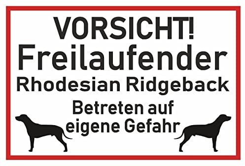 Samunshi® Aufkleber Vorsicht Rhodesian Ridgeback - Schild Sticker Hinweisschild Warnschild Vorsicht Hund 30 x 20cm Vorsicht Rhodesian Ridgeback schwarz
