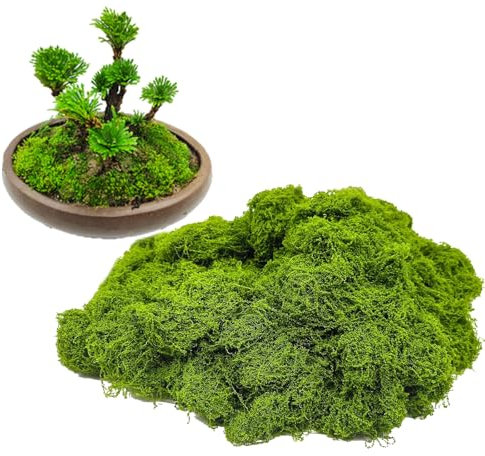 Eymobad Künstliches Moos,Moos Deko, 100g für Moosbilder,Moos zum Basteln,Künstliches Moos Deko Kunstrasen zum Basteln Fake Pflanzen, für Gartenkunst Wanddekoration Floristen Dekor Oster