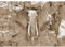 Runa Art Fototapete Elefant Afrika 352 x 250 cm Vlies Tapeten XXL Moderne Wandtapete Wohnzimmer Schlafzimmer Braun 9398011b