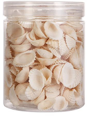 FOMIYES 1 Lot de 100 Petits Coquillages en Forme de Coquillage Naturel - Décoration Artisanale avec Bouteille de Rangement - Blanc
