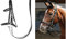 Harry's Horse Hoofdstel/halster, Farbe:schwarz, Größe:Pony