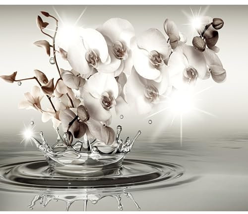 decomonkey Papier Peint Panoramique Fleurs Orchidée 400x280 cm