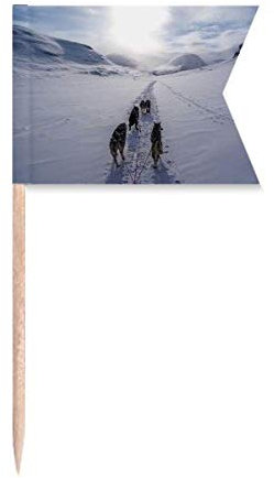 Hund Tier Schnee Husky Bild Zahnstocher Flaggen Kennzeichnung für Party Kuchen Lebensmittel Käseplatte