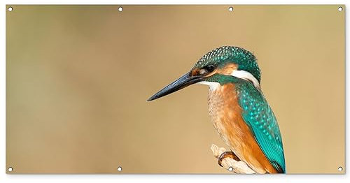 MuchoWow Outdoor-Poster Poster Wanddeko draußen Deko Garten Gartenposter 160x80 cm Eisvogel - Tiere - Vogel