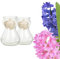 Bunte Hyazinthen Blumenzwiebeln im Glas - mehrjährig winterhart - echte Pflanzen in Glasvasen für Tischdeko - Frühblüher Steckzwiebeln in verschiedenen Farben erhältlich (2er Mix Blau u. Rosa)