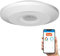 Surface-Mounted Wi-Fi 2.4GHz Motion Sensor LED Compatible with Alexa, Google Home, Voice Control