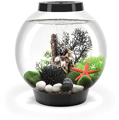 biOrb 71999 CLASSIC 15 LED, 15 L, schwarz - dekoratives, rundes Acryl-Aquarium, Komplett-Set mit patentiertem Filtersystem, LED-Beleuchtung