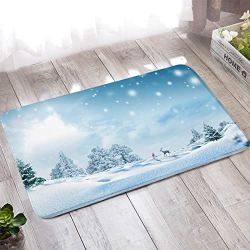Banemi Fußmatte Personalisiert, Waschbarer Teppich 40X120cm Blau Winter Themenorientiertes Schneeflocken Muster Heimtextilien