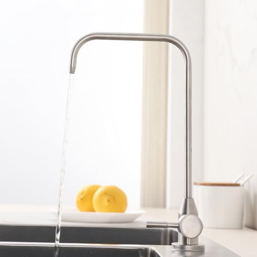 YWJFSA Grifo de Agua Potable, Grifo Osmosis Grifo Abatible Cocina Grifo de Cuello de Cisne, Cepillado En Frío