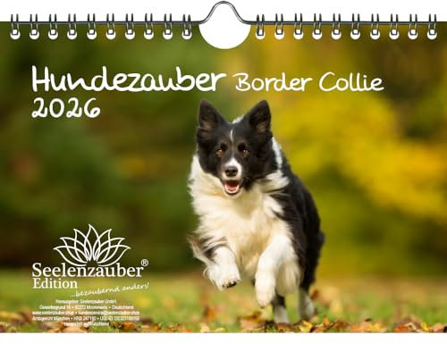 Hundezauber Border Collie DIN A5 Kalender für 2026 Welpen und Hunde - Set: 1x Kalender 1x Weihnachtsanhänger 1x Grußanhänger (gesamt 3 Teile)