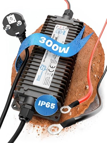 Bauer Electronics | 24V Batterie-Ladegerät LiFePO4 29,2V 10A 300W | Optimiert für Lithium-Eisenphosphat-Akku | Auto-Batterie Charger Wasserdicht KFZ