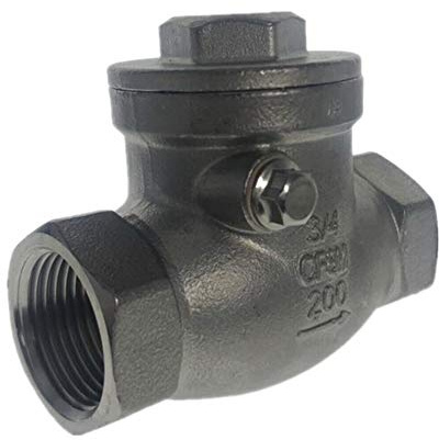 Rückschlagventile BSPT 1-1/2 Zoll DN40 PN16 CF8M Gewinde-Rückschlagventil 200PSI Edelstahl SS304 Innenrückschlagventil(DN40)
