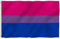 DISBACANAL Bandera Bisexual