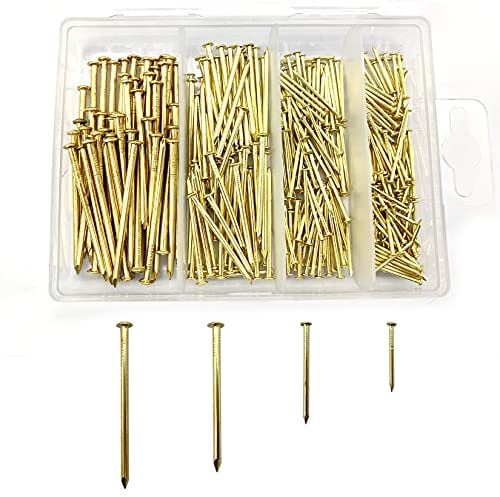 300 Pièces Crochets pour Cadres Photo, Clous Muraux à Tête Ronde, Clous pour Suspension de Photos, Crochets Murals, Assortiment de Matériel pour Cadres Photo, Bois, Miroirs