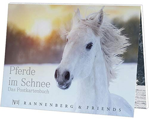 NN. 15 wunderschöne Postkarten | Pferde im Schnee | Postkartenbuch