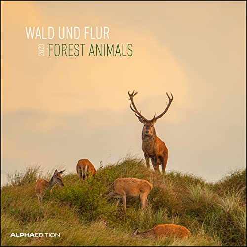 Wald und Flur 2023 - Broschürenkalender 30x30 cm (30x60 geöffnet) - Kalender mit Platz für Notizen - Forest Animals - Bildkalender - Wandkalender