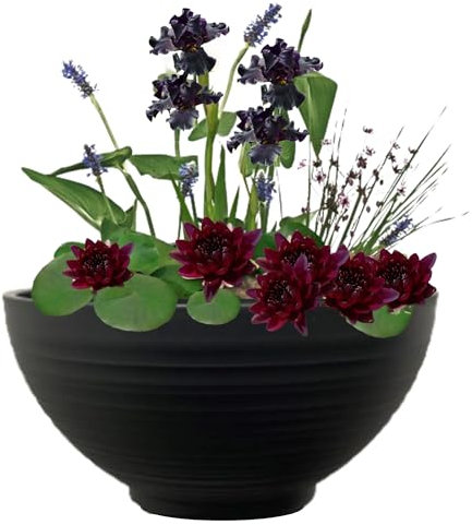 vdvelde.com - Mini Vijver Schaal met Planten Set - Zwart - • Voor 25-100 L• Complete mini vijverset• Plaatsing: -10 tot -20 cm