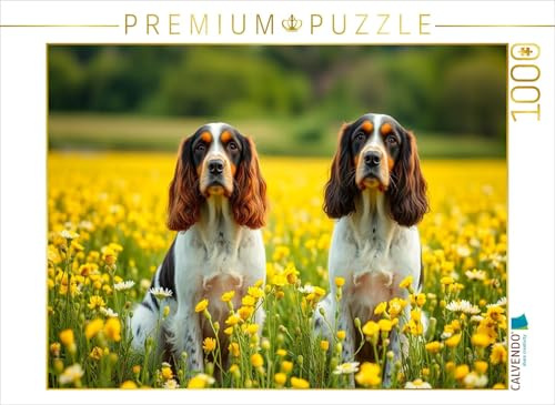 Puzzle · American Cocker Spaniel | Fototermin zwischen Blümchen · 1000 Teile · Lege-Größe 64 × 48 cm · CALVENDO Puzzle