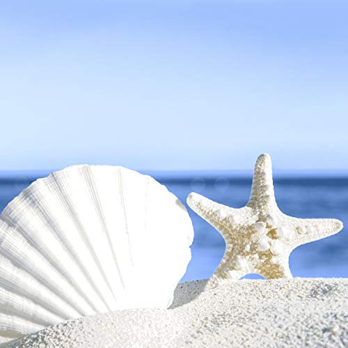 20 Lunch Servietten Seestern Muscheln am Sandstrand 33 cm