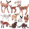 Chalyna 10 Pièces Figurines d'animaux de Forêt Figurine d'animal des Bois Miniature Jouet Ensemble de Jeu Éducatif Familial de Petit Écureuil Castor Lapin Cerf Topper de Gâteau pour Graduation