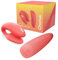 WE-VIBE Chorus Einstellbarer Paarvibrator mit Voller Kontrolle über Fernsteuerung oder Paar-App, C-Form mit Starken Vibrationen; 100% Wasserdicht, Bluetooth-Steuerung, Coral