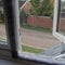 Flat Cats Window Screens - Four Pack - Selection of Sizes/Colours (60cm x 130cm, Grey Mesh/White Fixings)