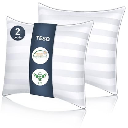 TESQ Oreiller 60x60 cm avec 900g de Remplissage, Lot de 2 Oreillers Confortables et Respirants, Idéal pour Dormeurs sur Le Côté, Le Dos et Le Ventre, Qualité Hôtelière, Lavable