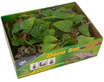 Life Experience Deco Set für kleine Nano-Terrarien