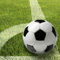 50 Servietten, 3-lagig 1/4-Falz 33 cm x 33 cm Fussball Football