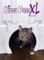 The Kitty Pass XL Große Katzentür für den Innenbereich, versteckte Katzentoilette