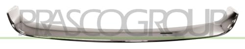 PRASCO Zier-/Schutzleiste, Stoßfänger RN0382206