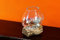 Verre Fondu sur Racine de Bois de Teck, avec Vase ou Bol en Verre, Marron, 15 x 12 cm et 15 x 15 cm