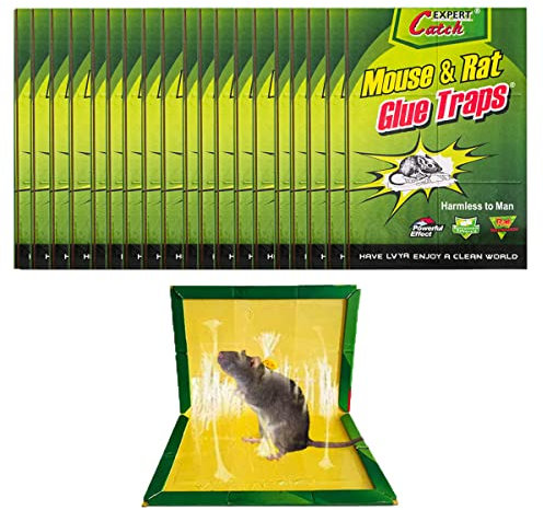 25 Paquetes de trampas Grandes para Ratones, trampas para Ratas, trampas para roedores con Pegamento y Almohadilla Adhesiva para Interiores y Exteriores